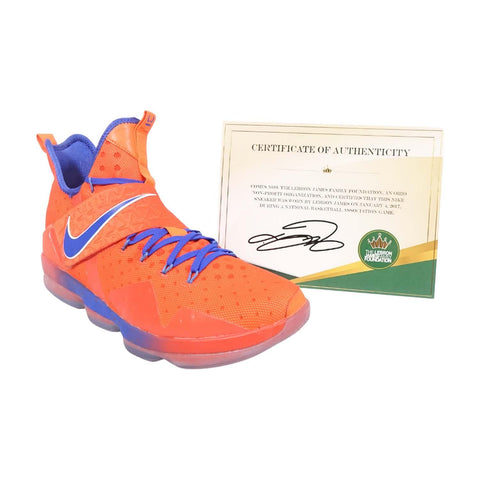 Lebron James Game Used Sneaker - 14 HWC