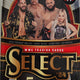 2024 Panini Select WWE Wrestling Hobby