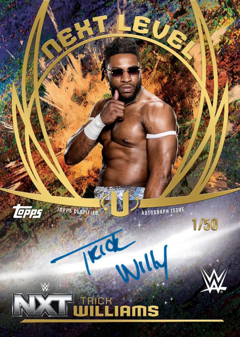 2025 Topps WWE Universe Wrestling Hobby