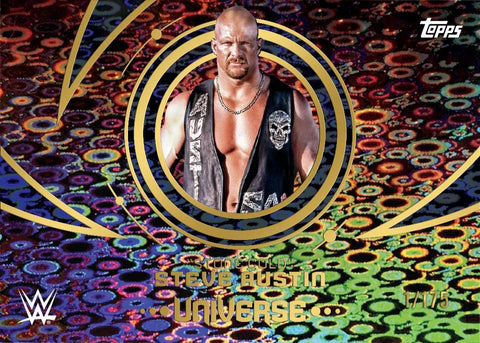2025 Topps WWE Universe Wrestling Hobby