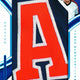 2026 Panini Immaculate Baseball Hobby
