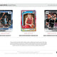 2024/25 Panini Donruss Optic Basketball Hobby