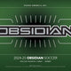 2024/25 Panini Obsidian Soccer Hobby