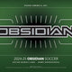 2024/25 Panini Obsidian International Soccer Hobby