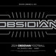 2024 Panini Obsidian Football Hobby