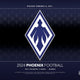 2024 Panini Phoenix Football Hobby