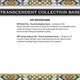 2025 Topps Transcendent Collection Baseball Hobby Case