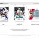 2025 Panini Impeccable Football Hobby