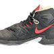 Lebron James Game Used Nike Sneaker