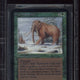 1993 Magic the Gathering Alpha War Mammoth BGS 9