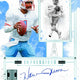 2025 Panini Impeccable Football Hobby