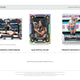 2024 Panini Prizm WWE Wrestling Hobby