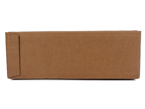 Pokemon Poke Ball Fall 2024 Tin