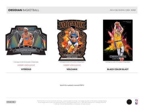 2024/25 Panini Obsidian Basketball Hobby