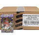 2025 Panini Select Football 6-Pack Blaster