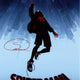 Shameik Moore Autographed Spider-Man 28cm x43cm Photo Poster JSA