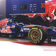 Max Verstappen Autographed Scuderia Toro Rosso Rookie Photo