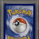 2024 Pokemon Stellar Crown Terapagos ex SIR PSA 10