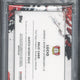 2024-25 Inception Bundesliga Lucio Jumbo Relic-Black /10 PSA 9