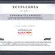 2025 Topps Eccellenza F1 Max Verstappen Relic