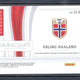 2023-24 Panini Immaculate Erling Haaland Patch /20 #CJ-EH