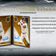 2024 Topps Diamond Icons Baseball Hobby