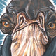 2025 Hit Parade Star Wars Sketch Card Series 1 Hobby Padawan Edition