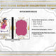 2024 Topps Royalty Collection Tennis Hobby
