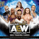 2022 Upper Deck All Elite Wrestling AEW Hobby