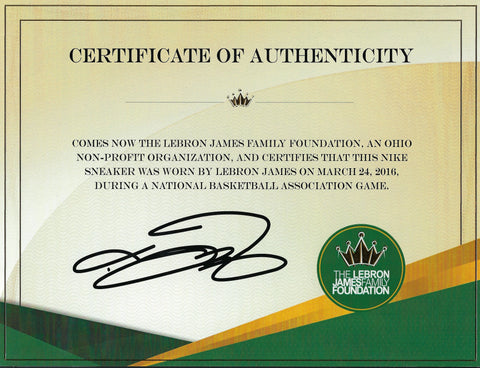 Lebron James Game Used Nike Sneaker