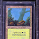 1993 Magic the Gathering Alpha Forest BGS 9